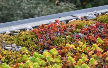 the cost of Spring Park green roof installation