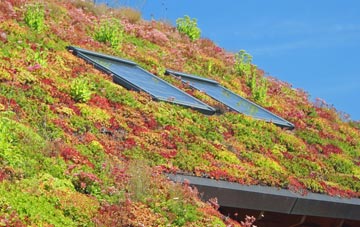 Spring Park living roof systems